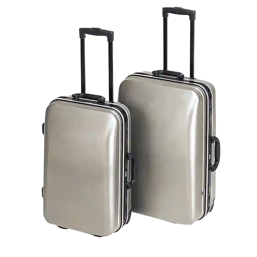 2-Piece Designer Luggage